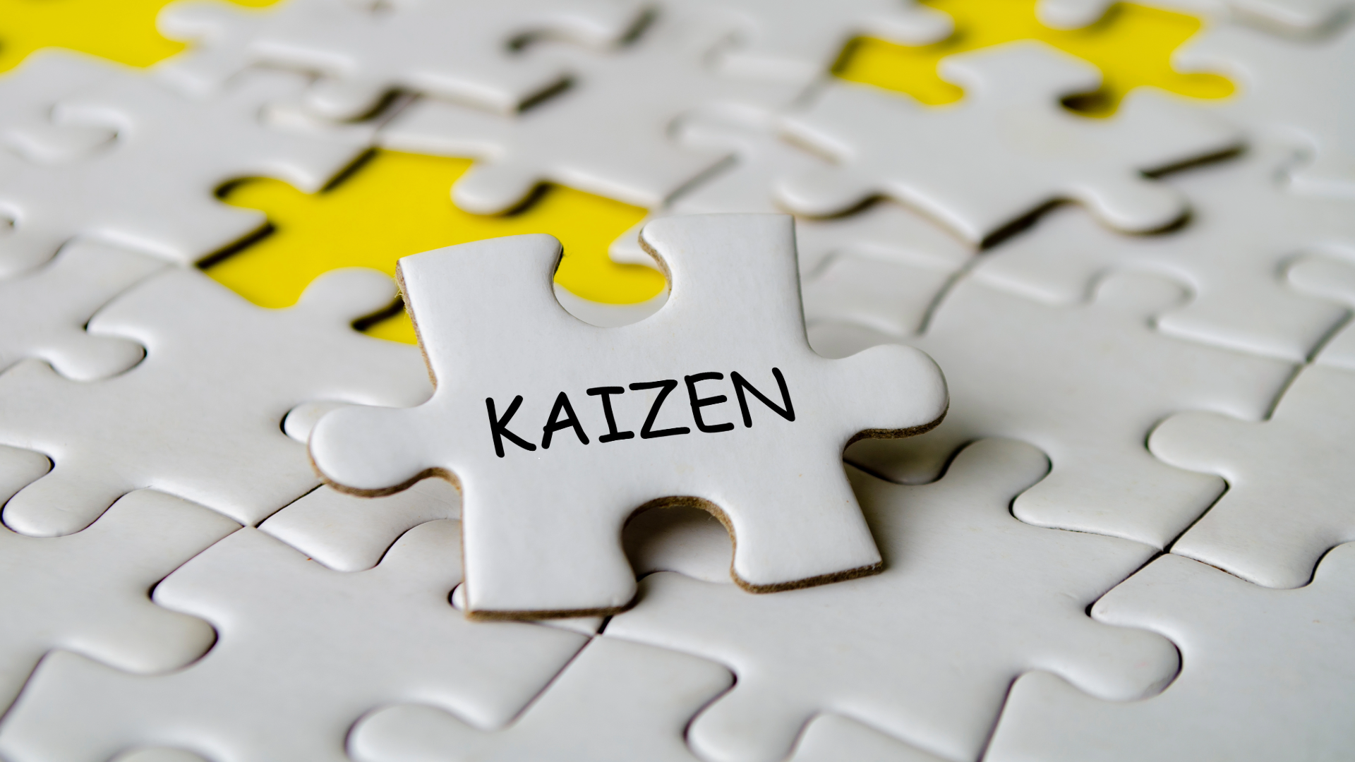 Certified Kaizen Practitioner