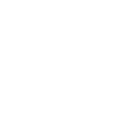 Bostoniica Logo